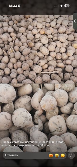 Продам кортошку 80тг кг