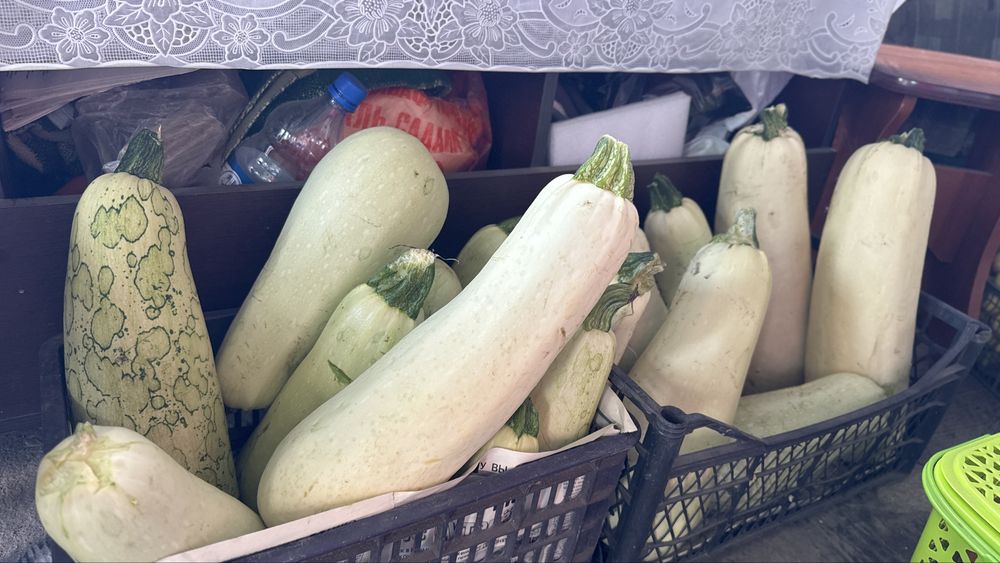 Продам кабачки за 150 тг 1 шт