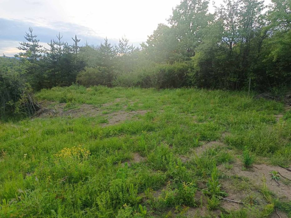 Продава се Парцел в с. Гара Елин Пелин, Област София-област - 882 кв.м за 69 €/кв.м - Снимка #3