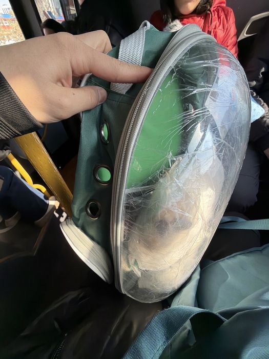 Продам переноску рюкзаз для собак и кошек