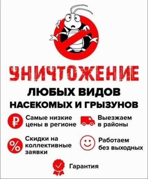 Дезинфекция Семей, услуги для дома , уборка квартир, тараканы