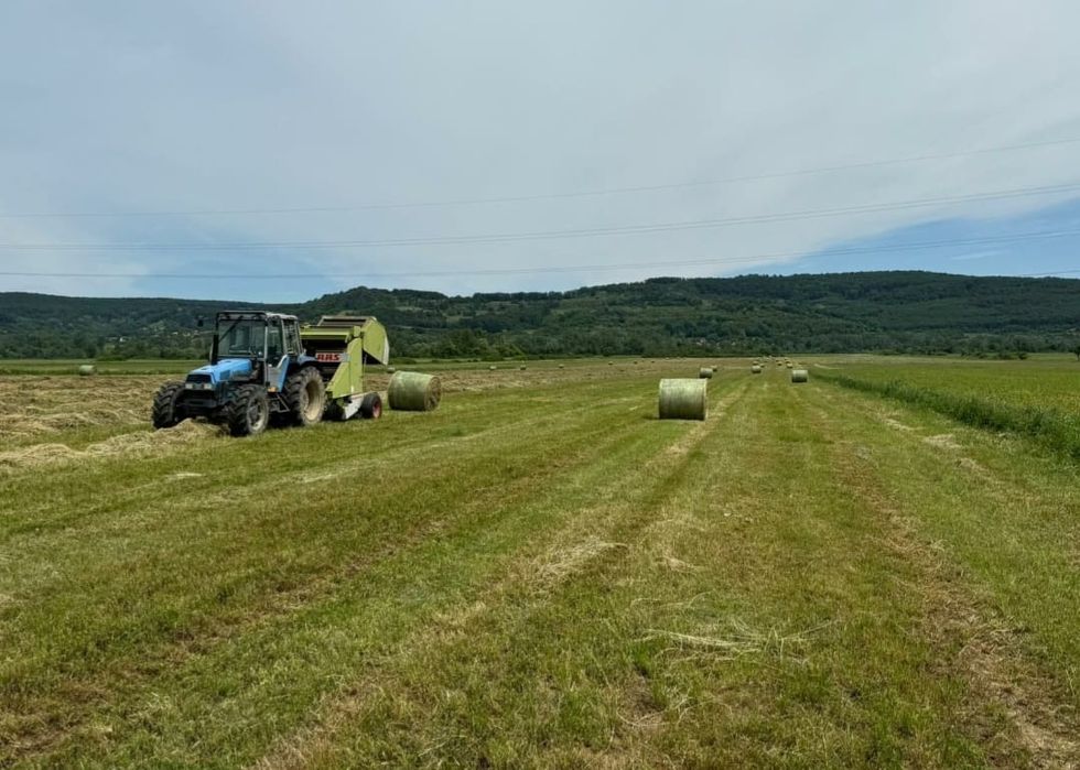 Vând baloți de lucernă și fân