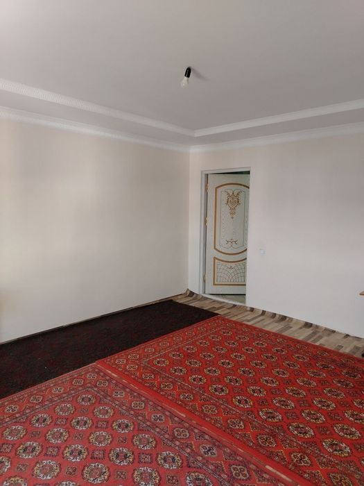 Urganch ijara kvartira darital yoni. Qorin tuyoq orqasi