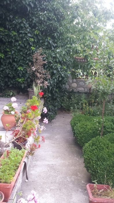 Продава се Къща в с. Караисен, Област Велико Търново - 90 кв.м за 63 €/кв.м - Снимка #6