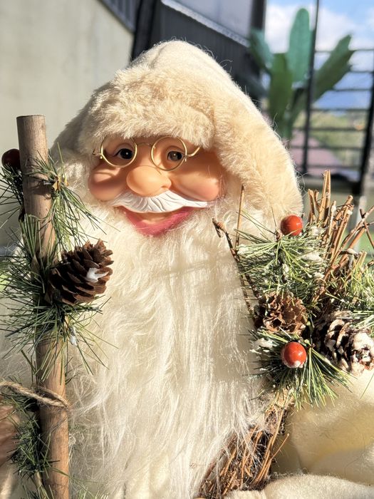 Дед мороз (Санта Клаус)