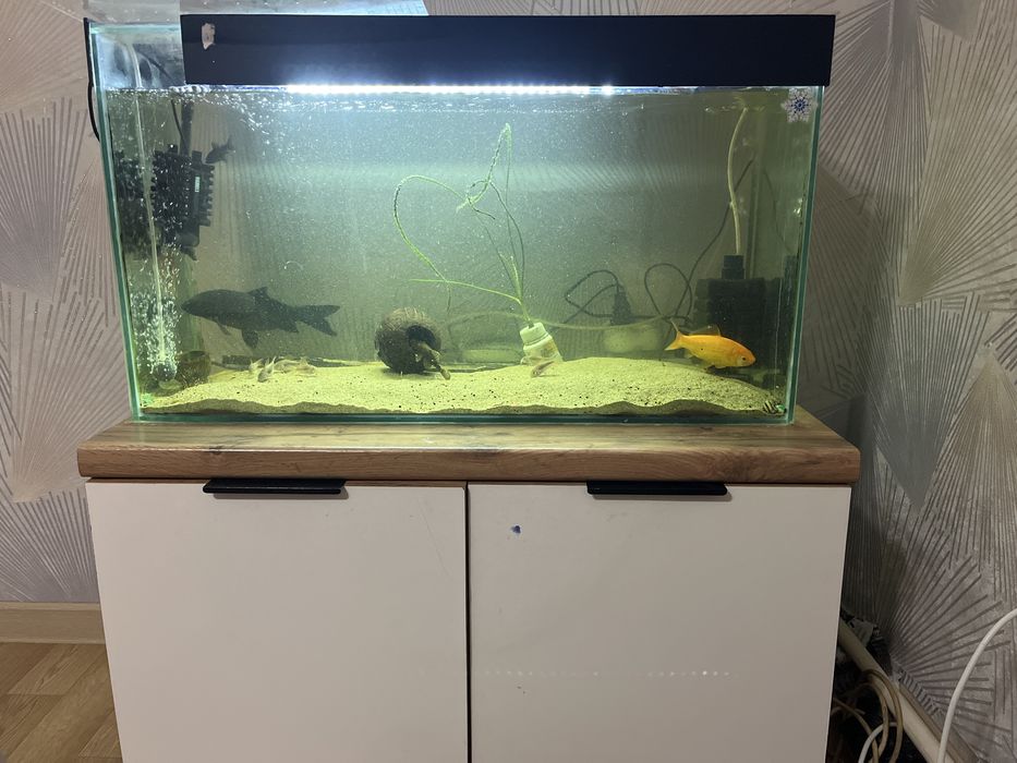 Аквариум 100 литров