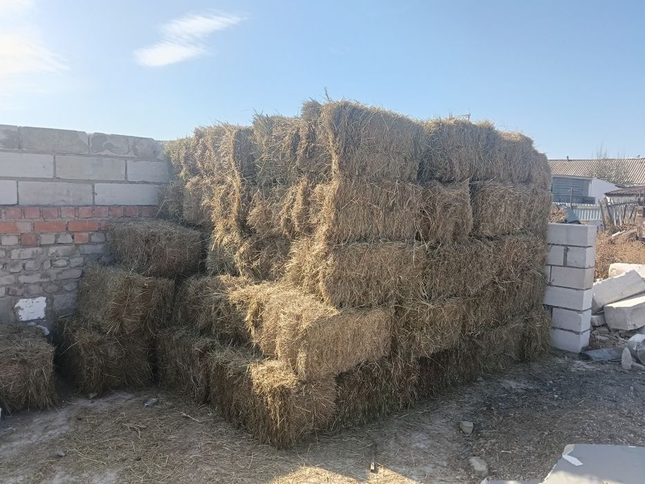 Продам сено в тюках