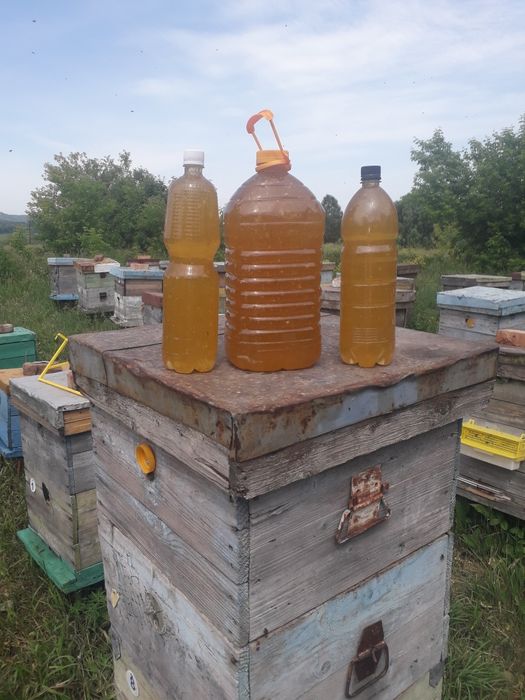 Продам мед, мёд, медок!