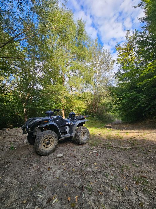 Atv Linhai 300 Anniversary