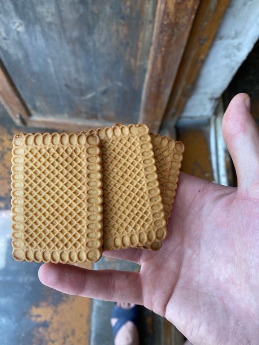 Штамповочная машина для печений Padovani R2