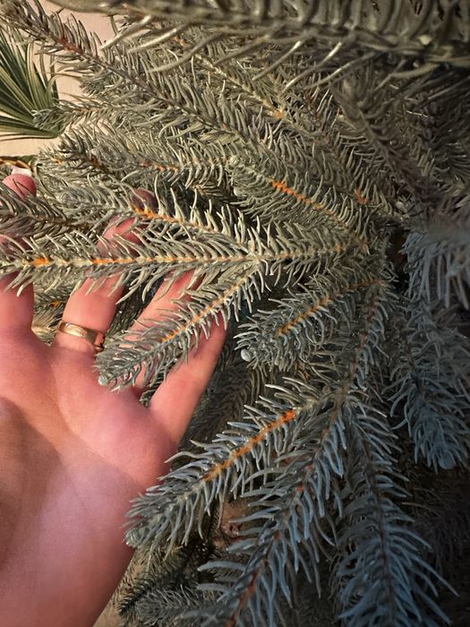 Продам елку новая