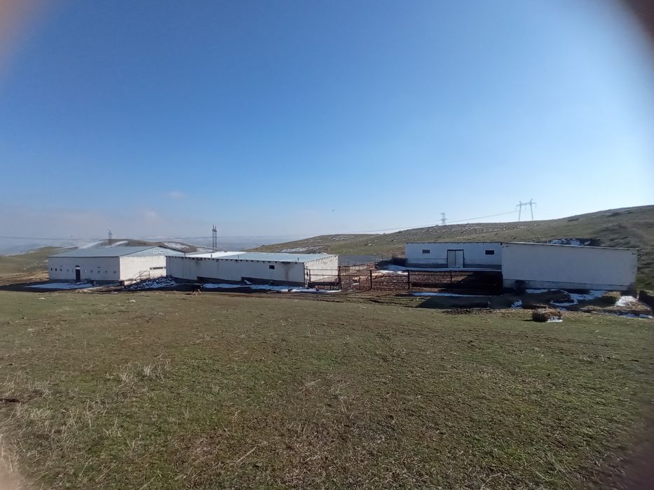 Продается фазенда