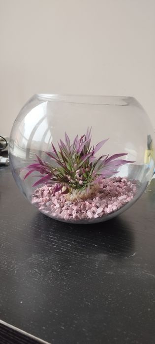 Кръгъл аквариум с принадлежности