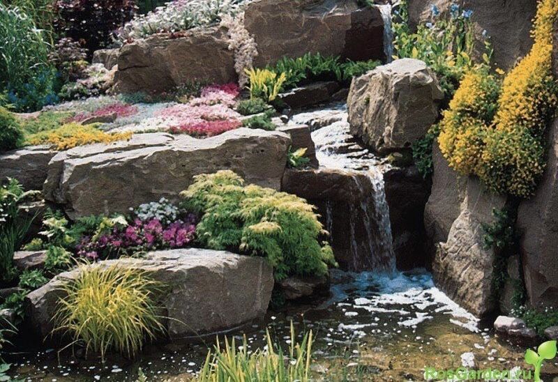 Дикие камни для альпийских горок