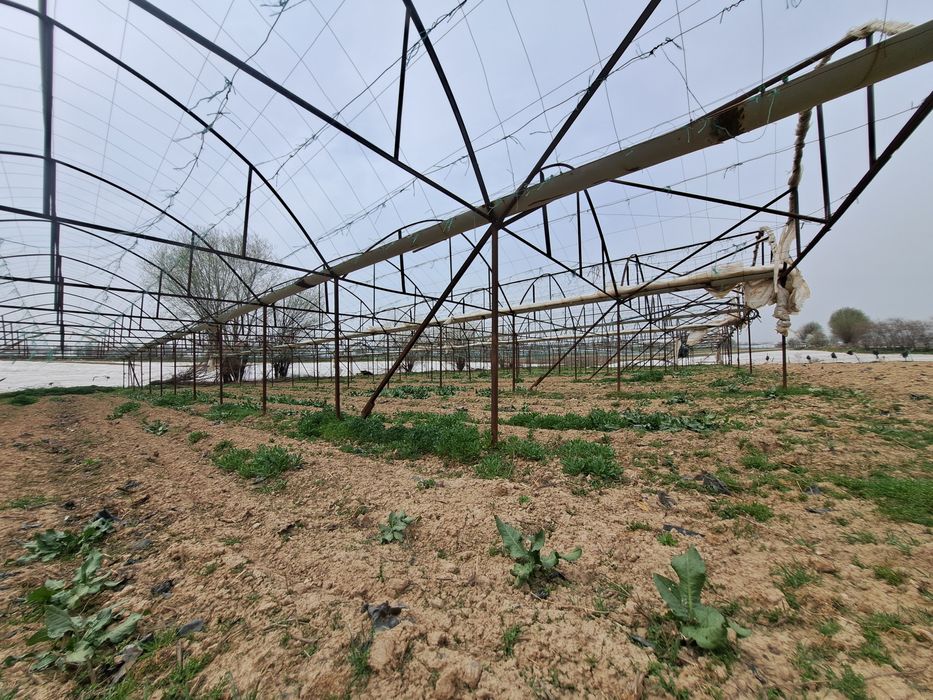 Парник сатылады бағасы келісімді