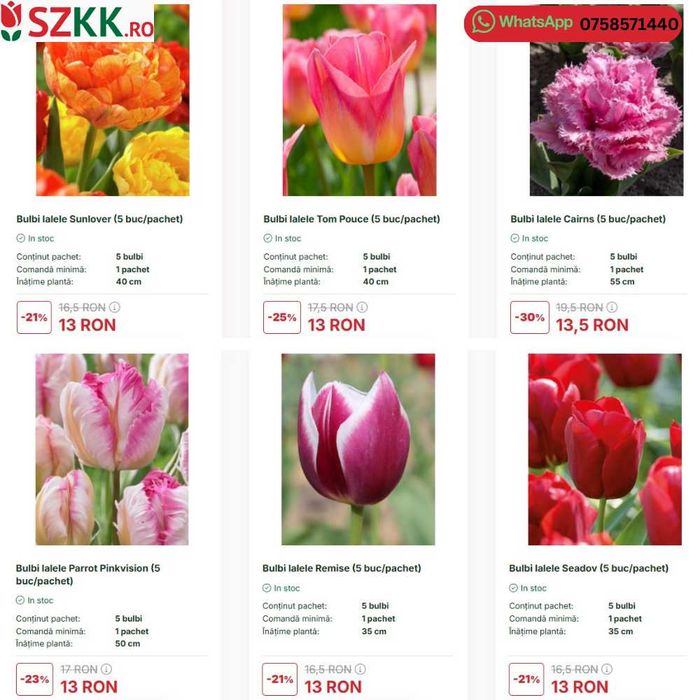 Bulbi de lalele la pret de extrasezon - lichidare stoc!