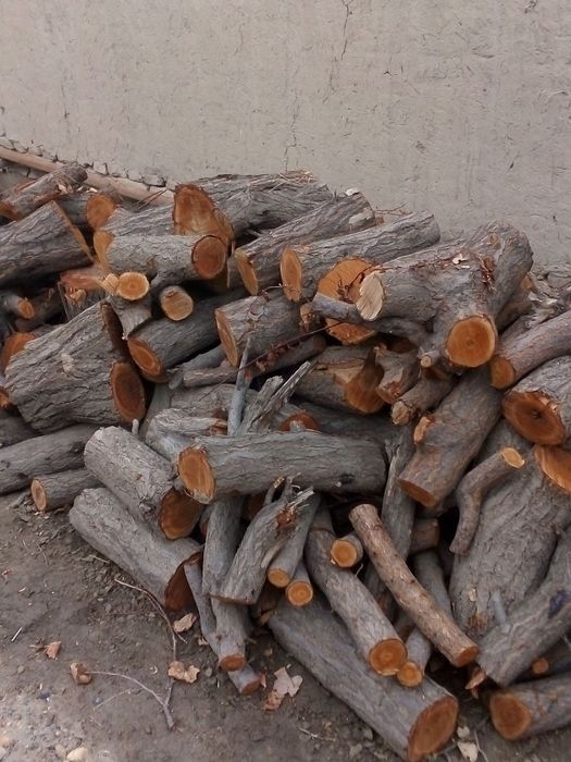 OʻTINLAR sotiladi. Tayyor holda.