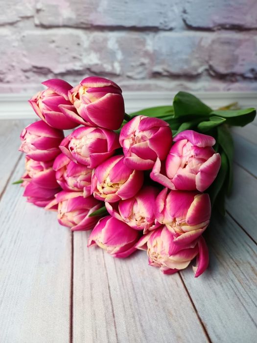 Оптом тюльпаны Беларусь