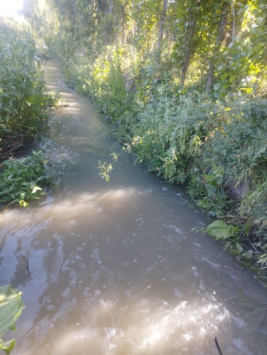 Тошкент вил. Юкори Чирчик туманида 7 сотох ховли уй сотилади