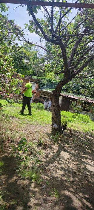 Косене и почистване на запустели дворове и парцели