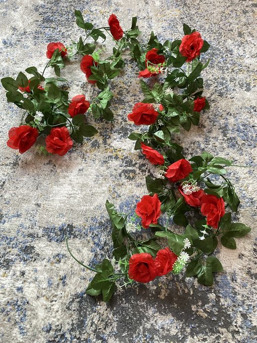 Декоративные цветы