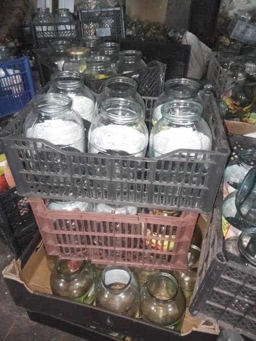 Банки 2 литровые