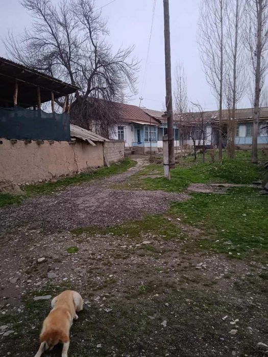 Yuqori Chirchiq yangibozor kavardonda uchastka sotiladi