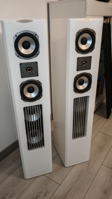 Boxe Focal chorus 816w...Quadral platinum m5