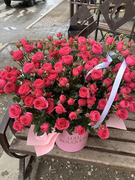 Цветы кусотвые продаю срочно