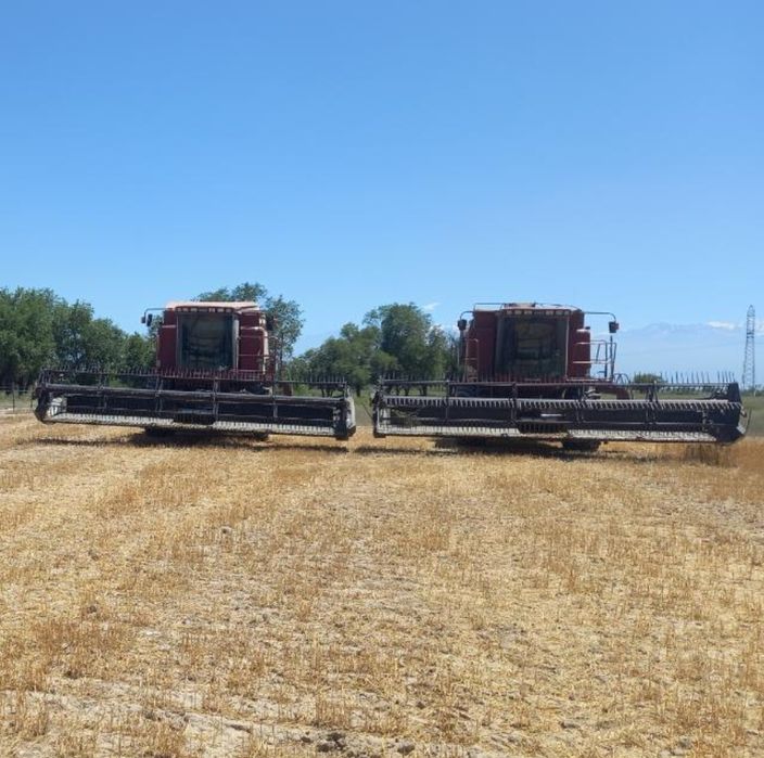 Продам комбайн кейс CASE и трактор мтз 82