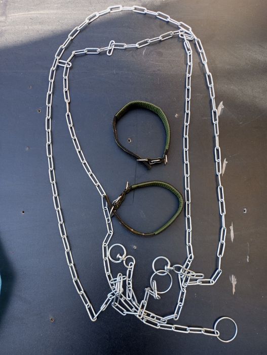 Ошейник для собак.