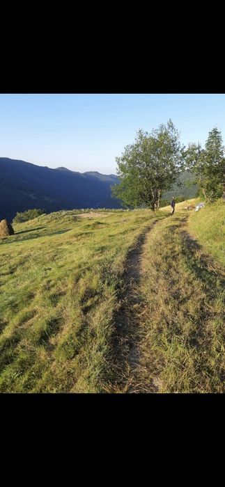 Vând teren intravilan/extravilan, Maguri Racatau.
