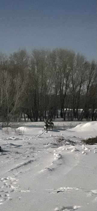 Продам дом! В селе Береговое