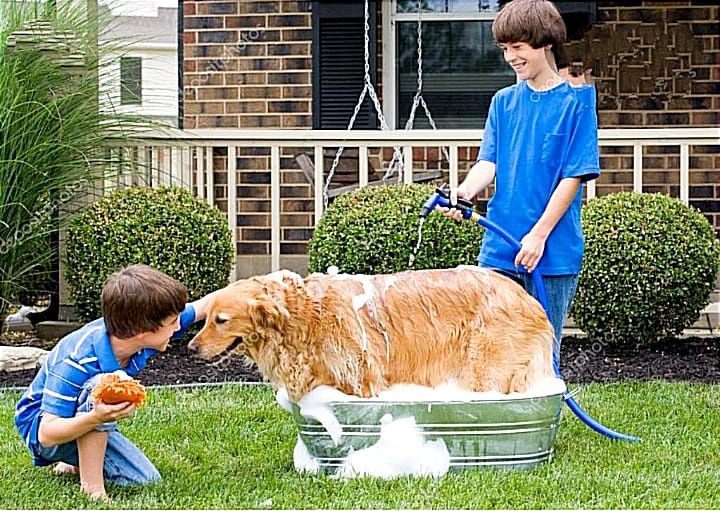 садовый шланг для полива 22.5 м