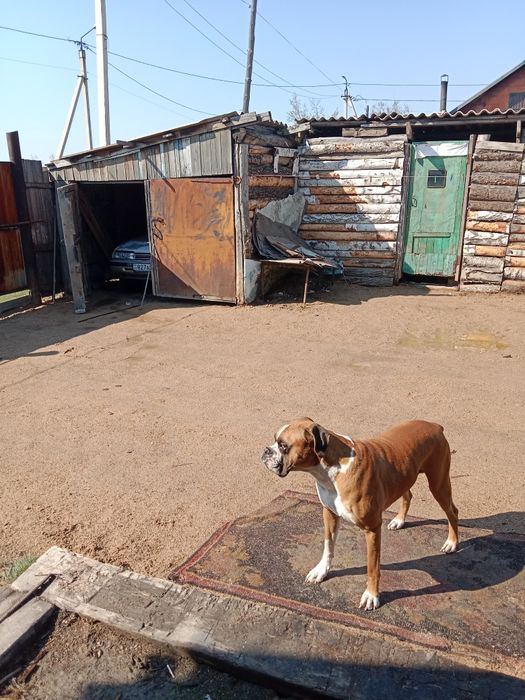 Продается частный дом