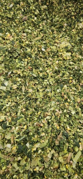 Siloz de porumb masa verde