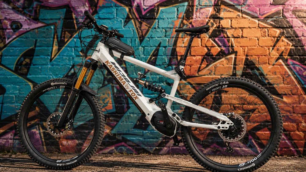 E-bike exclusivist de competitie 29", L - XL, Boutique Manufaktur / High End