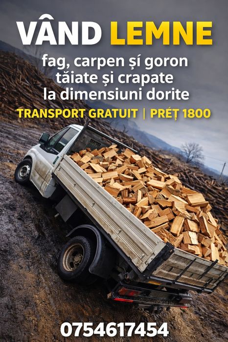 Lemne de foc   uscate 70%