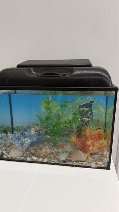 Прдам аквариум с рыбками