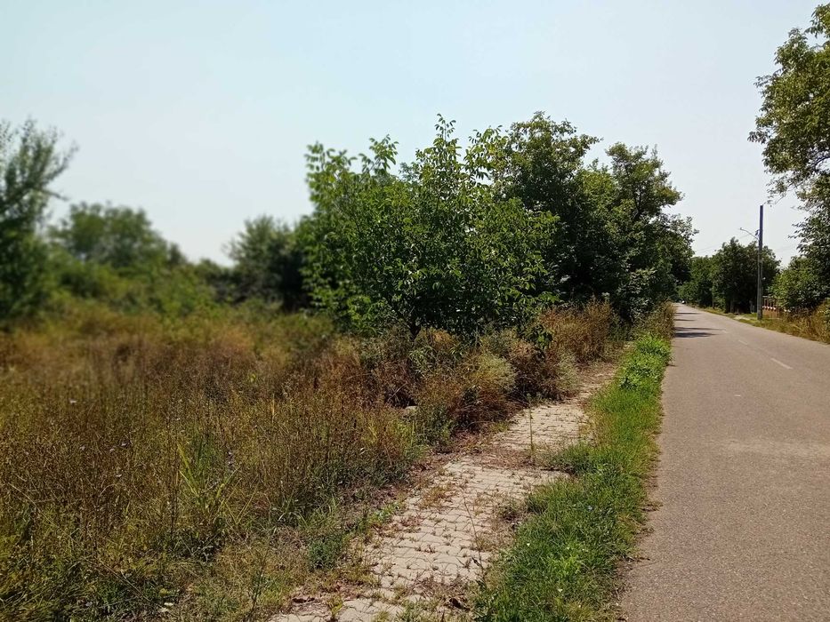 Teren intravilan 836 mp , deschidere 24 ml , zona linistita