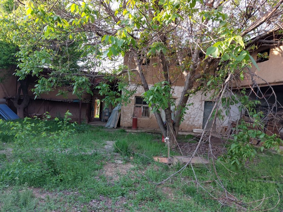 Dacha uchun er sotiladi