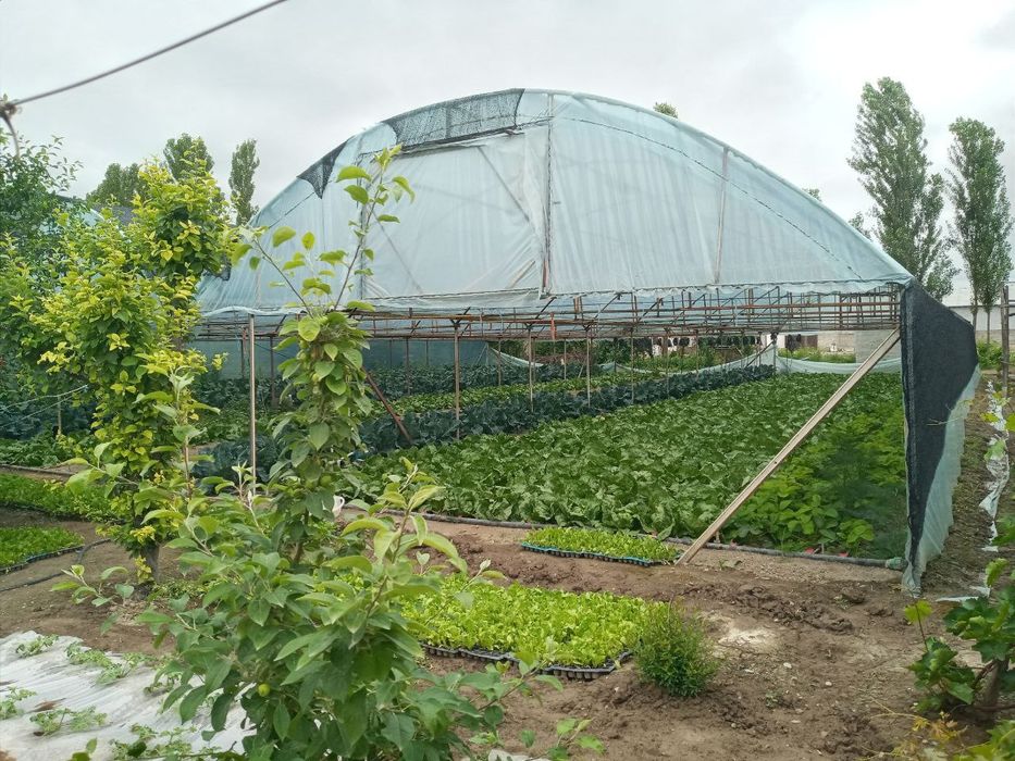 Uy sotiladi 6 sotix issiqxonasi bilan