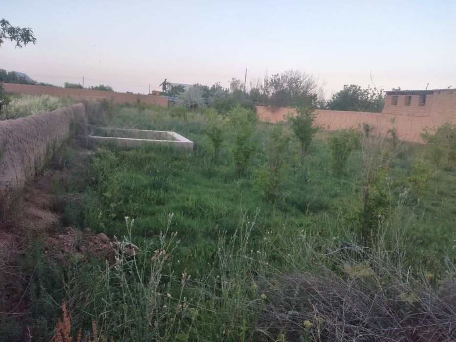 Surxondaryo sherobod tumani balxiguzar maxallasi