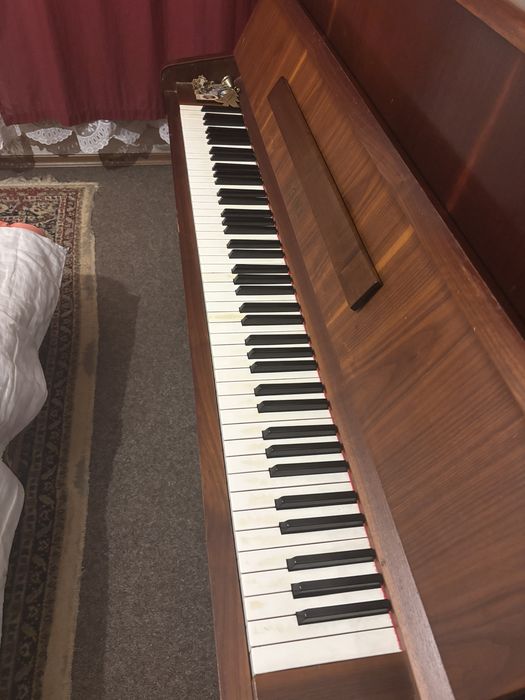 Pianina doina an 1982