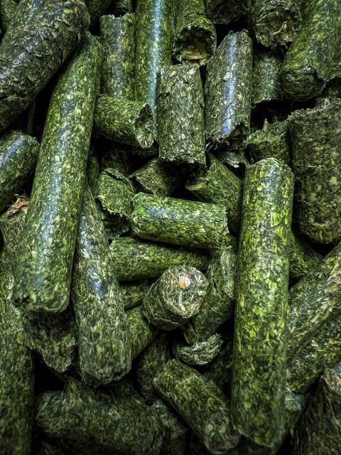 Гранулы из люцерны. Жонышка грануласы.