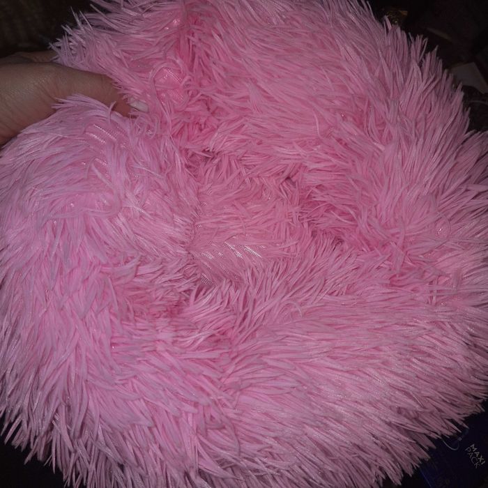 Легло за коте или мини порода куче