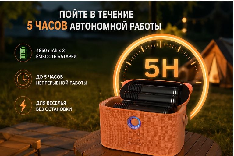 Портативная караоке система