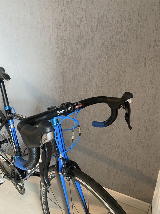 Cursiera Giant TCR