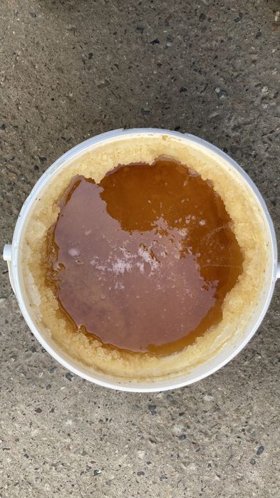 Тоза қозоғистон ва тоғ асаллари