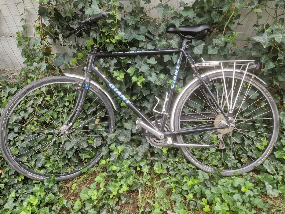 Giant Biciclete 1000 ambele